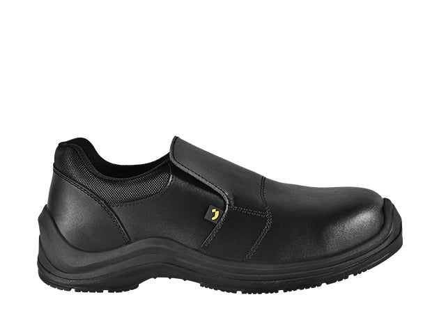 DOLCE81